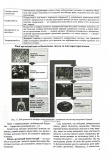 Біологія. Комплексна підготовка до ЗНО/НМТ 2026. Зображення №3 Біологія. Комплексна підготовка до ЗНО/НМТ 2026. Зображення №3