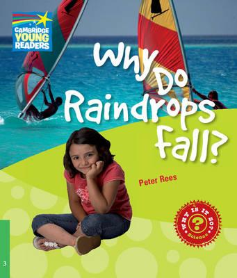 CYR 3 Why Do Raindrops Fall? CYR 3 Why Do Raindrops Fall?