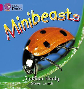 Big Cat 1A Minibeasts. Workbook. Big Cat 1A Minibeasts. Workbook.