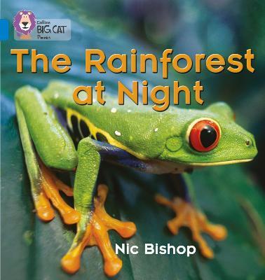 Big Cat Phonics 4 The Rainforest at Night. Big Cat Phonics 4 The Rainforest at Night.