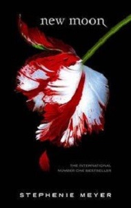 New Moon B-format New Moon B-format