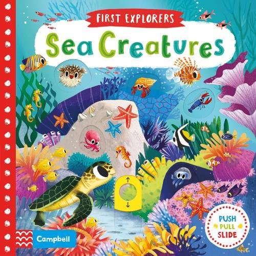 First Explorers: Sea Creatures First Explorers: Sea Creatures