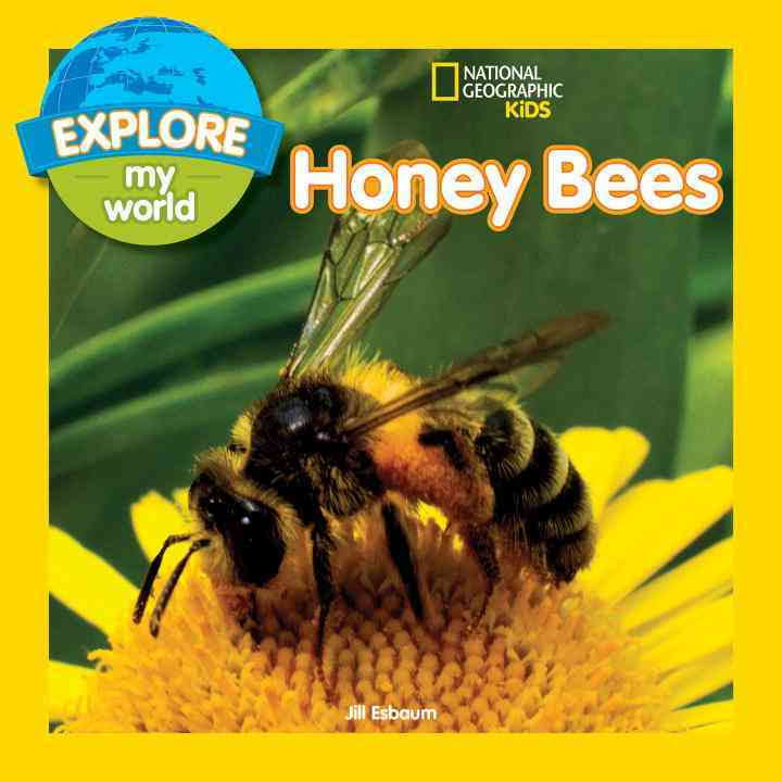 Explore My World: Honey Bees Explore My World: Honey Bees