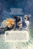 Коти-вояки. Герої кланів. Хроніки Зореклану. Зображення №7