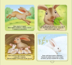 Познайомся і погладь: Лісові тварини. Изображение №1