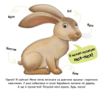 Познайомся і погладь: Лісові тварини. Изображение №2