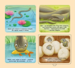 Познайомся і погладь: Лісові тварини. Изображение №3