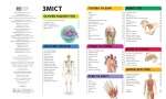 Енциклопедія знань. Тіло людини. Зображення №1