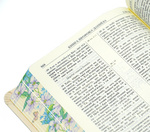 Біблія (з квітами і метеликами) 101-44-21. Зображення №4