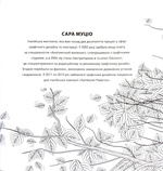 Розкішні дерева. Розмальовка. Зображення №1 Розкішні дерева. Розмальовка. Зображення №1