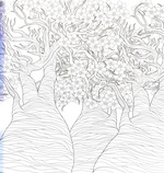 Розкішні дерева. Розмальовка. Зображення №3 Розкішні дерева. Розмальовка. Зображення №3