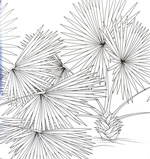 Розкішні дерева. Розмальовка. Зображення №5 Розкішні дерева. Розмальовка. Зображення №5