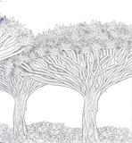 Розкішні дерева. Розмальовка. Зображення №6 Розкішні дерева. Розмальовка. Зображення №6
