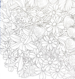 Квітучі сади. Розмальовка. Зображення №3