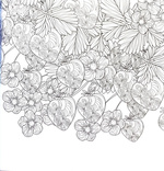 Квітучі сади. Розмальовка. Зображення №4