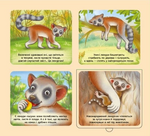 Познайомся і погладь: Тварини світу. Зображення №3