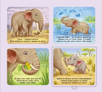 Познайомся і погладь: Тварини світу. Зображення №5