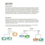 Динозаврiя. Розмальовки та цікаві факти. Зображення №2 Динозаврiя. Розмальовки та цікаві факти. Зображення №2