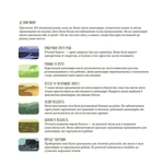 Динозаврiя. Розмальовки та цікаві факти. Зображення №3 Динозаврiя. Розмальовки та цікаві факти. Зображення №3