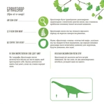 Динозаврiя. Розмальовки та цікаві факти. Зображення №6 Динозаврiя. Розмальовки та цікаві факти. Зображення №6