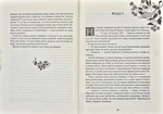Зільбер. Третя книга сновидінь. Изображение №3