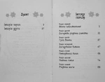 Таємні принцеси. Сестрички-сніжинки. Спеціальний випуск. Зображення №1