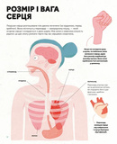 Серце. Історія, наука і багато любові. Изображение №5