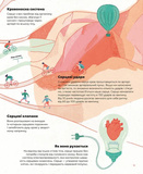Серце. Історія, наука і багато любові. Изображение №8