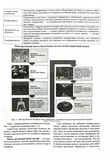 Біологія. Комплексна підготовка до ЗНО/НМТ 2026. Изображение №3