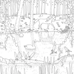 Магія мальовничих світів (книга - розмальовка). Изображение №1