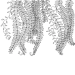 Дива мальовничих світів (книга - розмальовка). Изображение №2