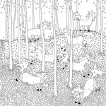 Магія мальовничих світів (книга - розмальовка). Изображение №3