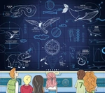 Енциклопедія з віконцями: Скелети і кістки. Зображення №4