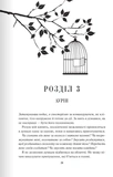 Відблиск. Книга 2. Зображення №14