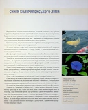 Синій колір японського літа. Изображение №2