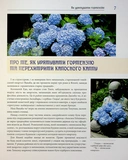 Синій колір японського літа. Изображение №4