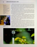 Синій колір японського літа. Изображение №5