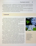Синій колір японського літа. Изображение №6