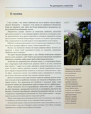 Синій колір японського літа. Изображение №10