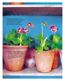 #Шелфі: Як комбінувати та розставляти речі на поличках. Зображення №8