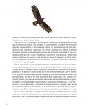 Казки для безстрашних дівчат. Зображення №4