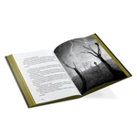 Крабат. Зображення №4