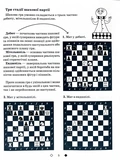 Шахи для дітей. 2 рівень. Практичний посібник для молодших школярів. Изображение №2