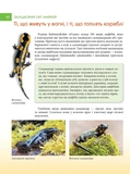 Загадковий світ Амфібій. Енциклопедія. Зображення №3
