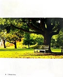 Шінрін-йоку. Цілюще мистецтво лісотерапії. Зображення №6