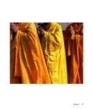 Вабі-сабі. Пошук краси в недосконалості. Зображення №5