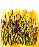 Кряк!. Зображення №9