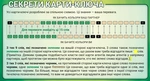Кодові імена: Дует. Зображення №4