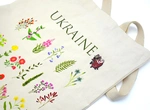 Пін (значок) Bookopt Тімон і Пумба. Зображення №2
