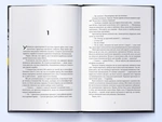 Міжзір'я. Небовись. Книга 2. Зображення №1